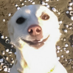 Thumbnail of related channel
