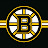 Boston Bruins FanBoy