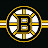 Boston Bruins FanBoy
