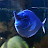 AR photo Avatar