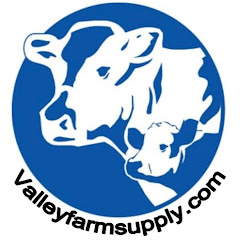 Thumbnail of related channel