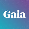 What could Gaia buy with $332.25 thousand?