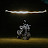 David D Avatar