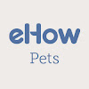 What could eHowPets buy with $361.81 thousand?