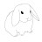 White_Bunny