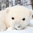 Fluffy PolarBear