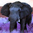 Gamer Elephant