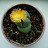 sun simple Avatar