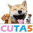 CUTA5 Cute Animals Top 5
