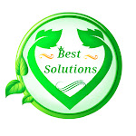 Best Solutions Net Worth