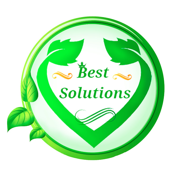 Best Solutions Net Worth & Earnings (2024)