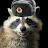 soviet raccoon