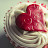 syed zain 83100