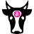 CryptoCowgirl