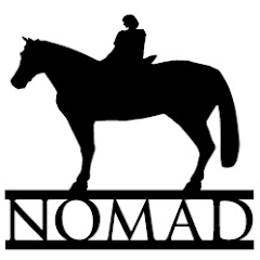 Nomad Colossus net worth