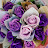 @user-xk8pp2sw6g