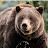 @Grizzly_bear1
