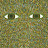 Denis Clotogapus
