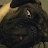 Crazypug156 6