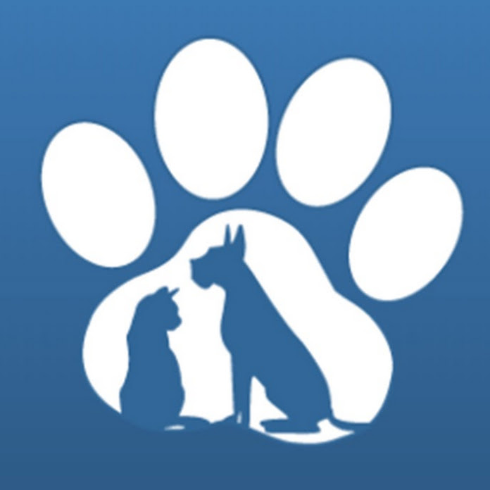 Paws Channel Net Worth & Earnings (2024)