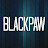 BlackPaw Avatar