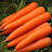 Carrot Hustler