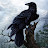 Vitaliy Crow