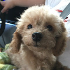 こっタソの自由気ままに