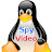 spy video