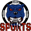 What could Baddog Sports buy with $141 thousand?