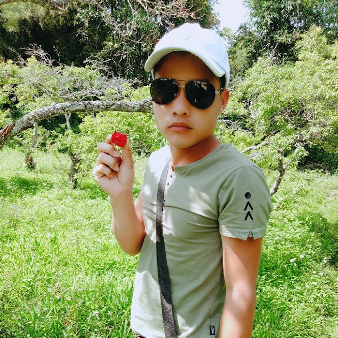 DTVN Vlog Net Worth & Earnings (2026)