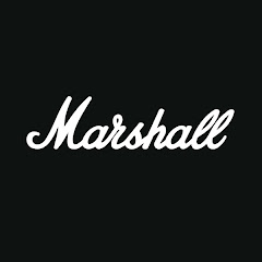 Marshall Amplification net worth