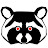 Raccoon