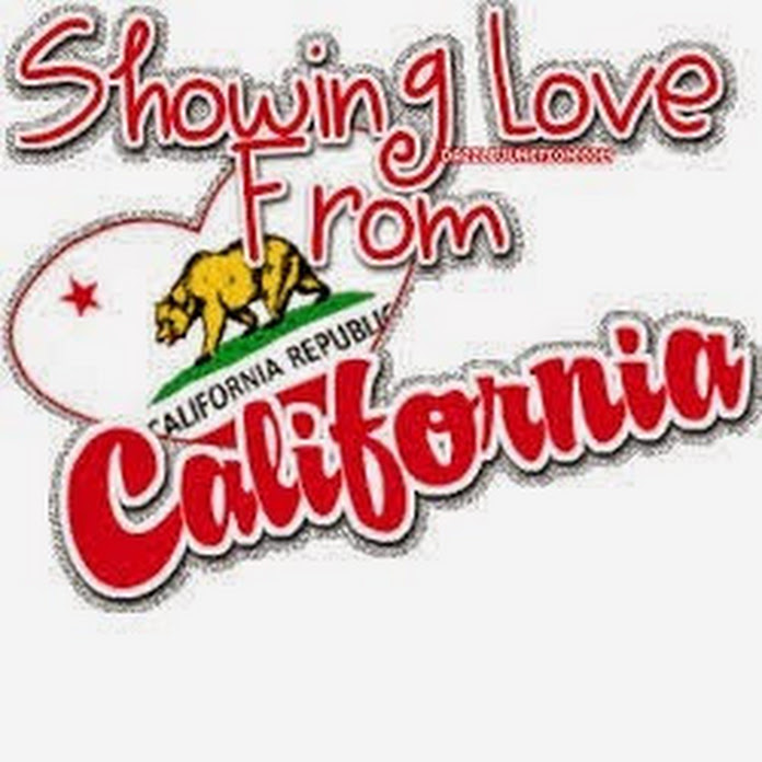 Cal Vid Net Worth & Earnings (2026)