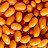 Beans