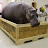 Hippo Crate