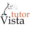 What could TutorVista buy with $100 thousand?