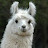 LlamaFaDe