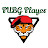 PUBG Player