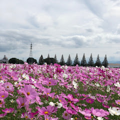 ワタナベケンタロウ