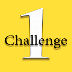 One Challenge Net Worth