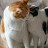 @user-ce7vp7ov8l