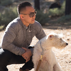 Thumbnail of related channel