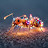 Ant Dude