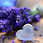 LAVANDA LОVE