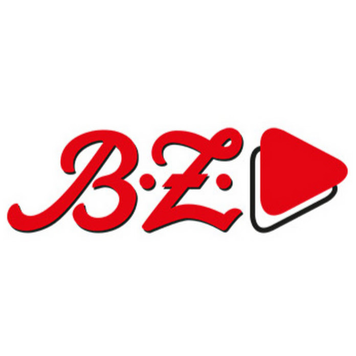 B.Z. Net Worth & Earnings (2024)