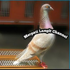 Merpati Langit Channel channel logo