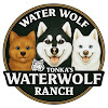 What could Tonka the Malamute AKA WaterWolf buy with $100 thousand?