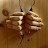 Woodeco27