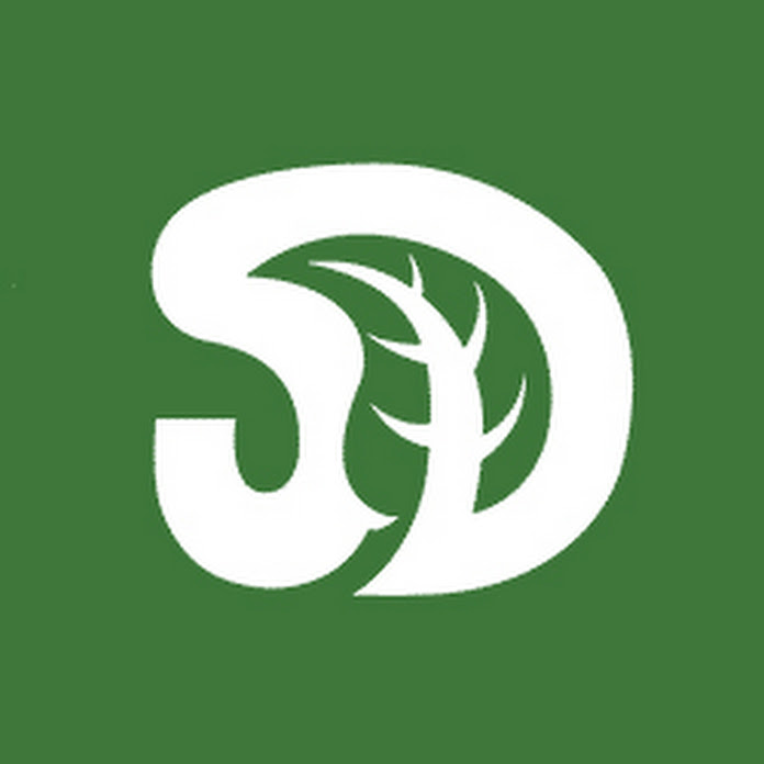 SerpaDesign Net Worth & Earnings (2025)
